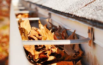 Garden City gutter cleaning companies
