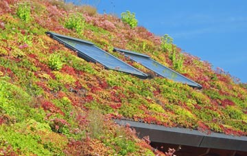 Garden City living roof systems